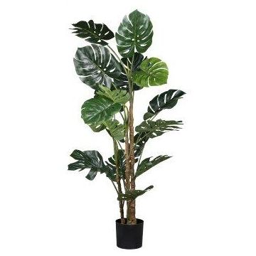 Filodendro Monstera Deliciosa ZARUM artificial, 160 cm