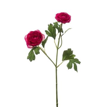 Rama decorativa ranúnculo FLORANCE, rosa oscuro, 45 cm