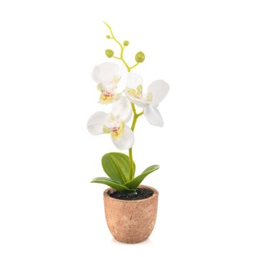 Orquídea artificial Phalaenopsis LEONISA en maceta de terracota, blanca, 20 cm