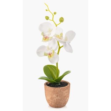 Orquídea artificial Phalaenopsis LEONISA en maceta de terracota, blanca, 20 cm Orquídea artificial Phalaenopsis LEONISA en maceta de terracota, blanca, 20 cm