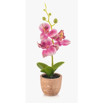 Orquídea artificial Phalaenopsis LEONISA en maceta de terracota, rosa, 20 cm Orquídea artificial Phalaenopsis LEONISA en maceta de terracota, rosa, 20 cm