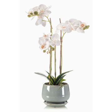 Orquídea artificial Phalaenopsis JOLANA en maceta de cerámica, blanca, 45cm Orquídea artificial Phalaenopsis JOLANA en maceta de cerámica, blanca, 45cm