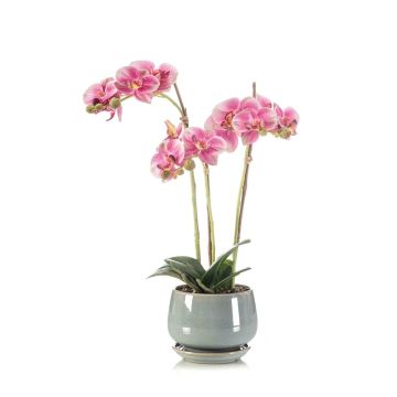 Orquídea artificial Phalaenopsis JOLANA en maceta de cerámica, rosa, 45 cm