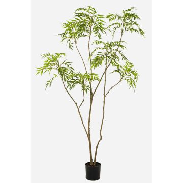 Árbol artificial de mahogany KLEANA, troncos artificiales, verde, 210 cm Árbol artificial de mahogany KLEANA, troncos artificiales, verde, 210 cm