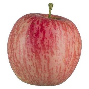 Fruta artificial manzana LOKPA, rosa, 6,5 cm, Ø 6,5 cm