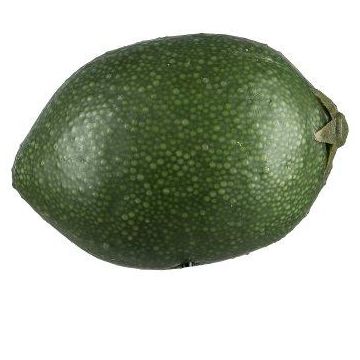 Fruta decorativa lima POLASY, verde oscuro, 4,5 cm, Ø 3,5 cm