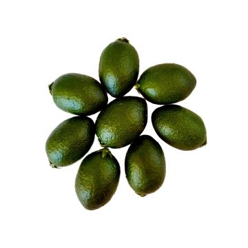 Fruta decorativa 8x Limequat POLASY, verde oscuro, 4,5cm, Ø2,8-3,2cm