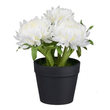 Flor artificial Capillaria GLOMST en maceta decorativa, blanca, 14 cm