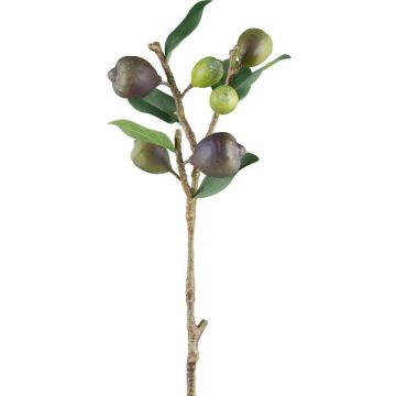 Rama artificial de higuera FLOVAR con frutos, verde, 60 cm