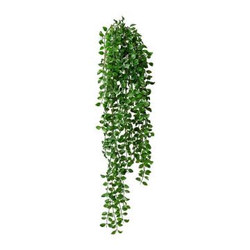 Colgador decorativo Columnea KOLHIN, varilla, verde, 85 cm