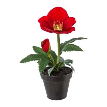 Rosa de Navidad de terciopelo ANSIK en maceta decorativa, roja, 19 cm
