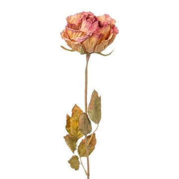 Flor decorativa rosa PANSOK, aspecto seco, rosa, 55 cm