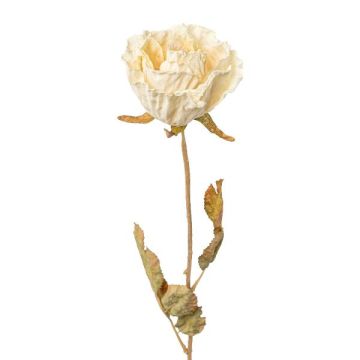 Flor decorativa rosa PANSOK, aspecto seco, crema, 55 cm