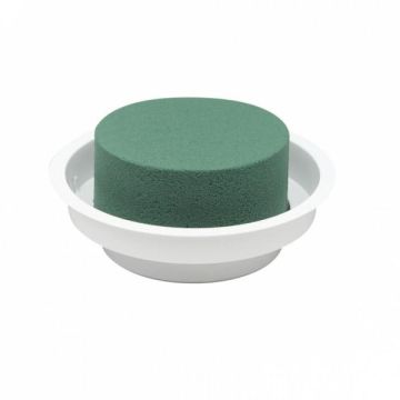 OASIS® Esponja para flores frescas Ideal Cilindro en bandeja de plástico, verde-blanco, 5 cm, Ø 12 cm