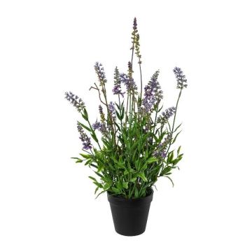 Flor decorativa lavanda SMORLI en maceta decorativa, morada, 50 cm Flor decorativa lavanda SMORLI en maceta decorativa, morada, 50 cm