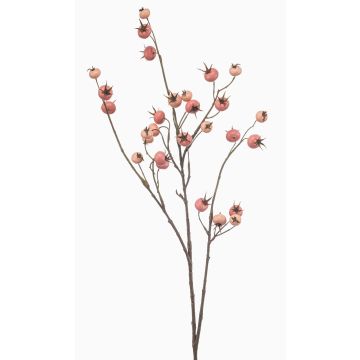 Rama decorativa Rosa silvestre FRAVON con escaramujos, rosa melocotón, 100 cm