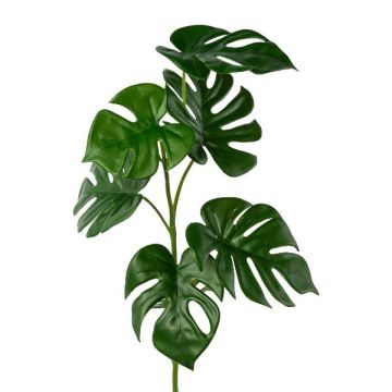 Rama decorativa filodendro monstera deliciosa RINTEC, 70 cm Rama decorativa filodendro monstera deliciosa RINTEC, 70 cm
