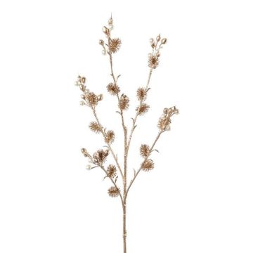 Rama decorativa de cardo FRONKA con perlas, champán, 65 cm