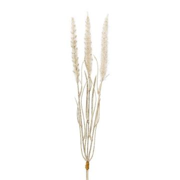 Hierba artificial para limpiar lámparas ALOGUI, ramita, panículas, beige, 50cm