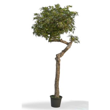 Arce japonés artificial KIMKA, tronco natural, verde-rojo, 275 cm - Fabricado en Italia