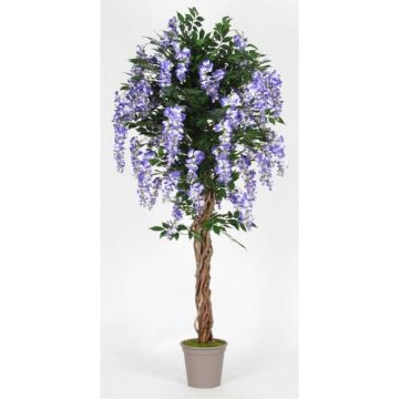 Glicinia artificial ANNIARA, troncos reales, con flores, lila, 150 cm - Fabricado en Italia