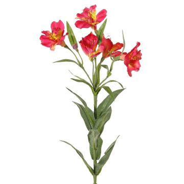 Rama decorativa Alstroemeria AUBERTA, fucsia-amarilla, 75cm, Ø6cm