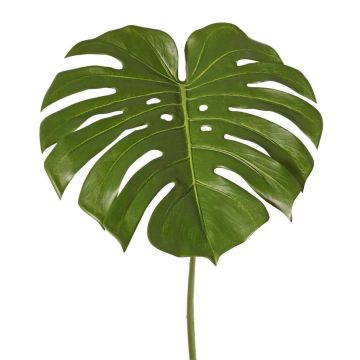 Plantas artificiales Hoja de monstera THALWIL, 60 cm