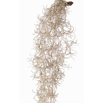 Tillandsia Usneoides artificial LIVADI en varilla, gris, 115cm Tillandsia Usneoides artificial LIVADI en varilla, gris, 115cm