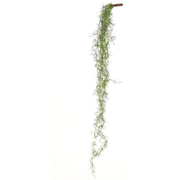 Tillandsia Usneoides artificial LIVADI en varilla, verde, 115 cm