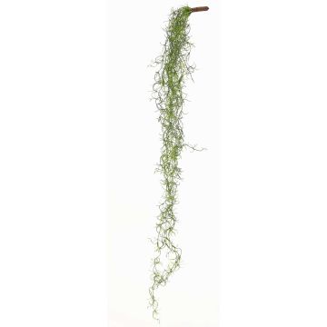 Tillandsia Usneoides artificial LIVADI en varilla, verde, 115cm Tillandsia Usneoides artificial LIVADI en varilla, verde, 115cm