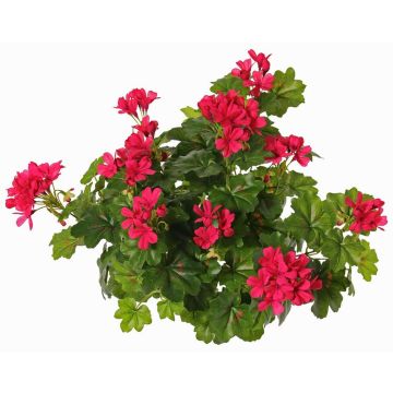 Geranio artificial MIA en varilla, fucsia, 40cm, Ø5-8cm Geranio artificial MIA en varilla, fucsia, 40cm, Ø5-8cm
