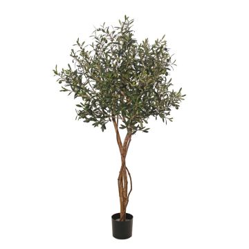 Olivo artificial GÖTZIS, frutos, troncos reales, 165 cm