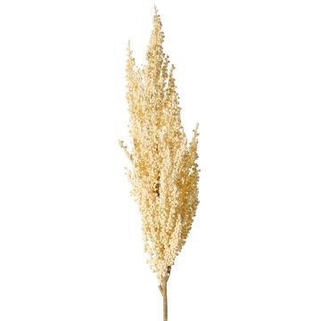 Rama decorativa de sorgo WADDY con espigas, color crema, 80 cm