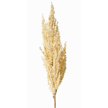 Rama decorativa de sorgo WADDY con espigas, crema, 80cm Rama decorativa de sorgo WADDY con espigas, crema, 80cm