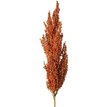 Rama decorativa de sorgo WADDY con espigas, color naranja, 80 cm