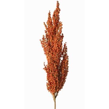 Rama decorativa de sorgo WADDY con espigas, color naranja, 80cm Rama decorativa de sorgo WADDY con espigas, color naranja, 80cm