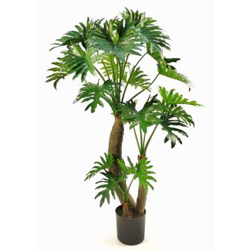 Planta artificial filodendro Selloum DONIS, troncos artificiales, 180cm Planta artificial filodendro Selloum DONIS, troncos artificiales, 180cm