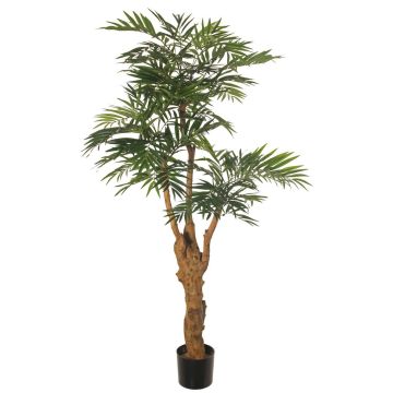 Palmera falsa QUOKKA, tronco artificial, 160 cm
