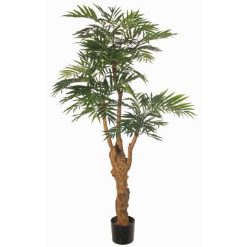 Palmera falsa QUOKKA, tronco artificial, 160cm Palmera falsa QUOKKA, tronco artificial, 160cm
