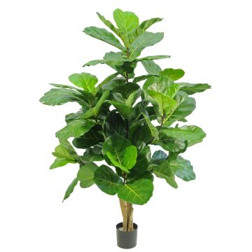 Ficus Lyrata artificial APOKO, troncos reales, verde, 170 cm