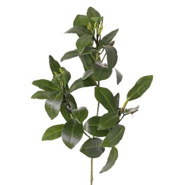 Rama de manglar artificial USTERA, brotes, difícilmente inflamable, verde, 60 cm