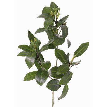 Rama de manglar artificial USTERA, brotes, difícilmente inflamable, verde, 60cm