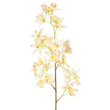 Rama de orquídea Odontoglossum artificial BELANIA, rosa crema, 75 cm