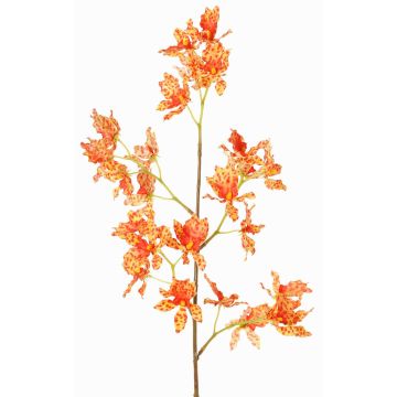 Rama de orquídea Odontoglossum artificial BELANIA, naranja-amarillo, 75cm