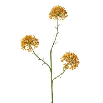Rama decorativa Allium ALIKIO, naranja, 65 cm, Ø 6,5 cm