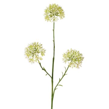 Rama decorativa Allium ALIKIO, blanca, 65 cm, Ø 6,5 cm