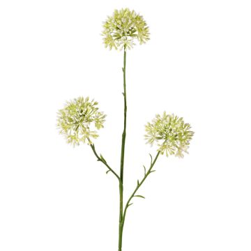 Rama decorativa Allium ALIKIO, blanca, 65cm, Ø7cm Rama decorativa Allium ALIKIO, blanca, 65cm, Ø7cm