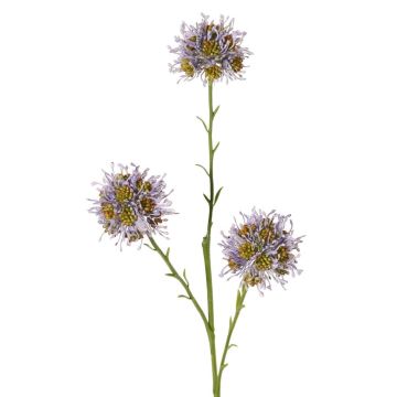 Rama de Allium artificial ZEBU, lila, 65 cm, Ø 6 cm