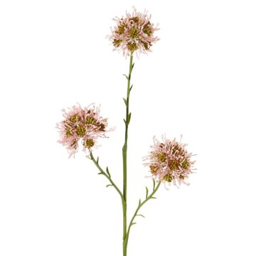 Rama de Allium artificial ZEBU, rosa, 65cm, Ø7cm Rama de Allium artificial ZEBU, rosa, 65cm, Ø7cm