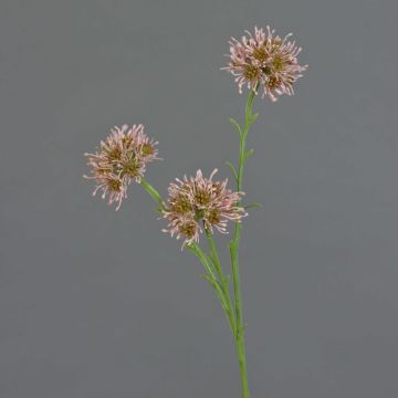 Rama de Allium artificial ZEBU, rosa, 65 cm, Ø 6 cm